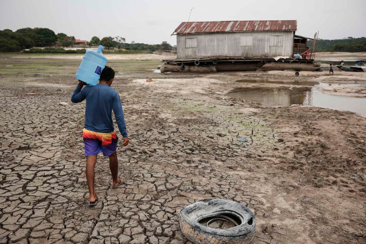 大旱和火灾威胁亚马逊雨林，科学家提醒警惕“临界点”｜Whatsnew, image size:1200x800