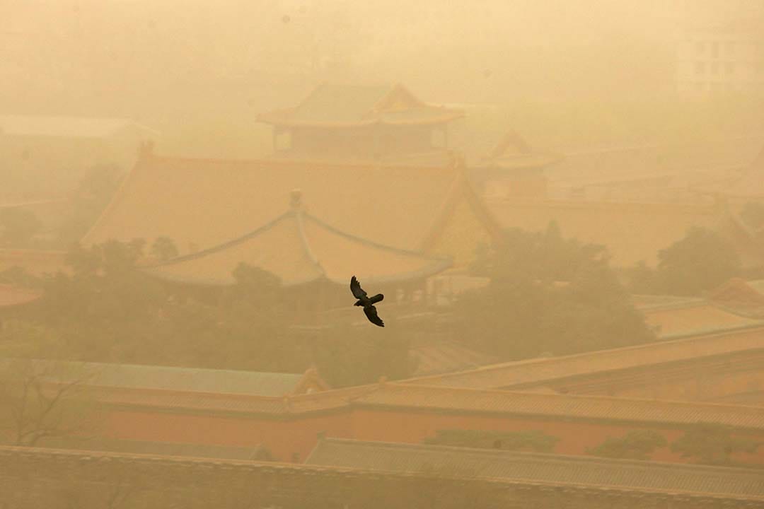 7月17日,长年深耕中国大陆,自称“胡同台妹”的媒体人宫铃因抑郁症离世。
