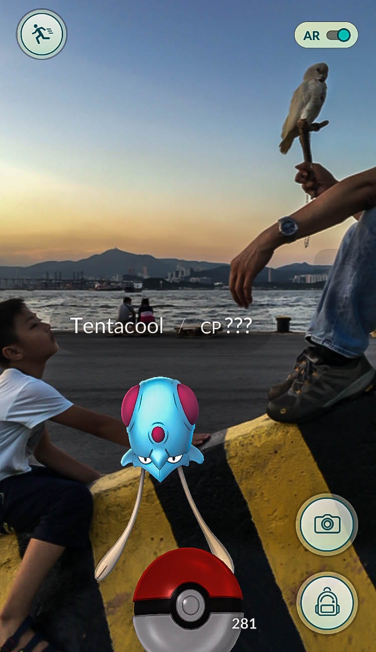 西環,多腳水母。