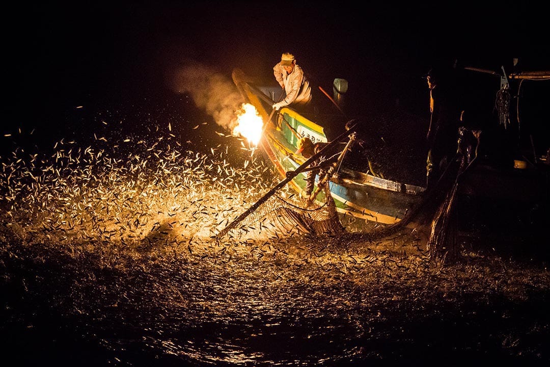 金山区独具特色的传统捕鱼方式 “蹦火仔” 对环境的干扰较低,属于较友善的捕渔方法,也展现环境保护和永续渔业理念。