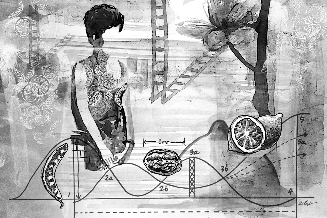 游静小说连载七:花样年华