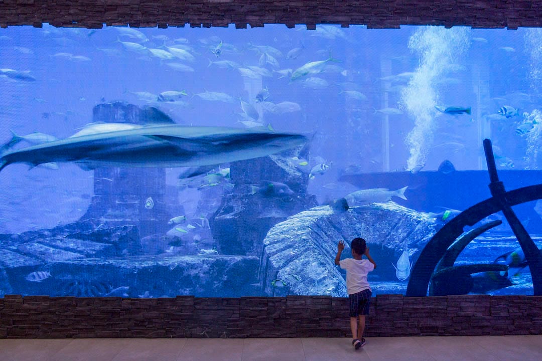 青衣長發街市現外判給建華集團管理,街市內裝置一個巨大的電子螢幕,循環播放著水族箱般的畫面。