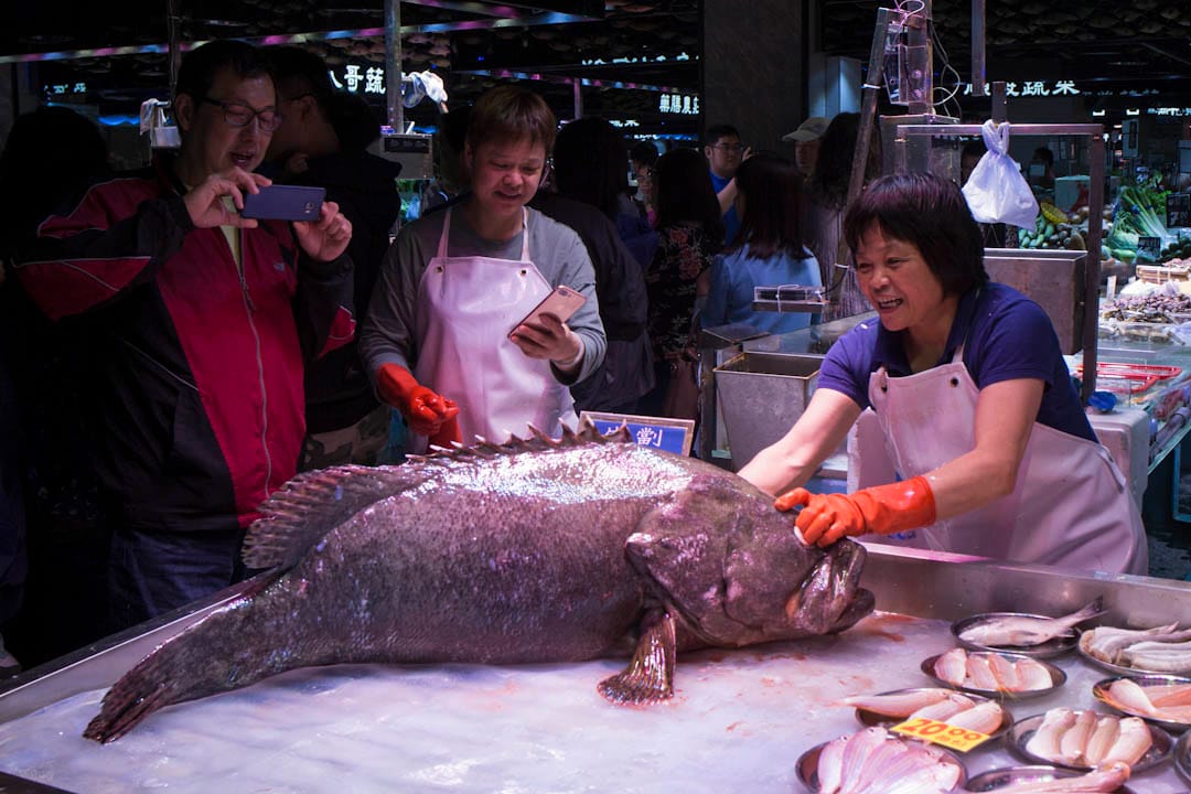 長發街市的魚檔時而生劏龍躉,並由"街市DJ"在旁推銷,像一場表演。