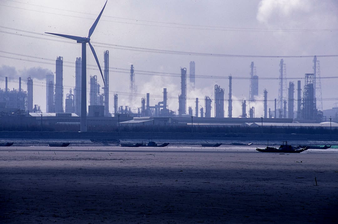 2003年1月,麦寮六轻工业区,浊水溪口南岸。