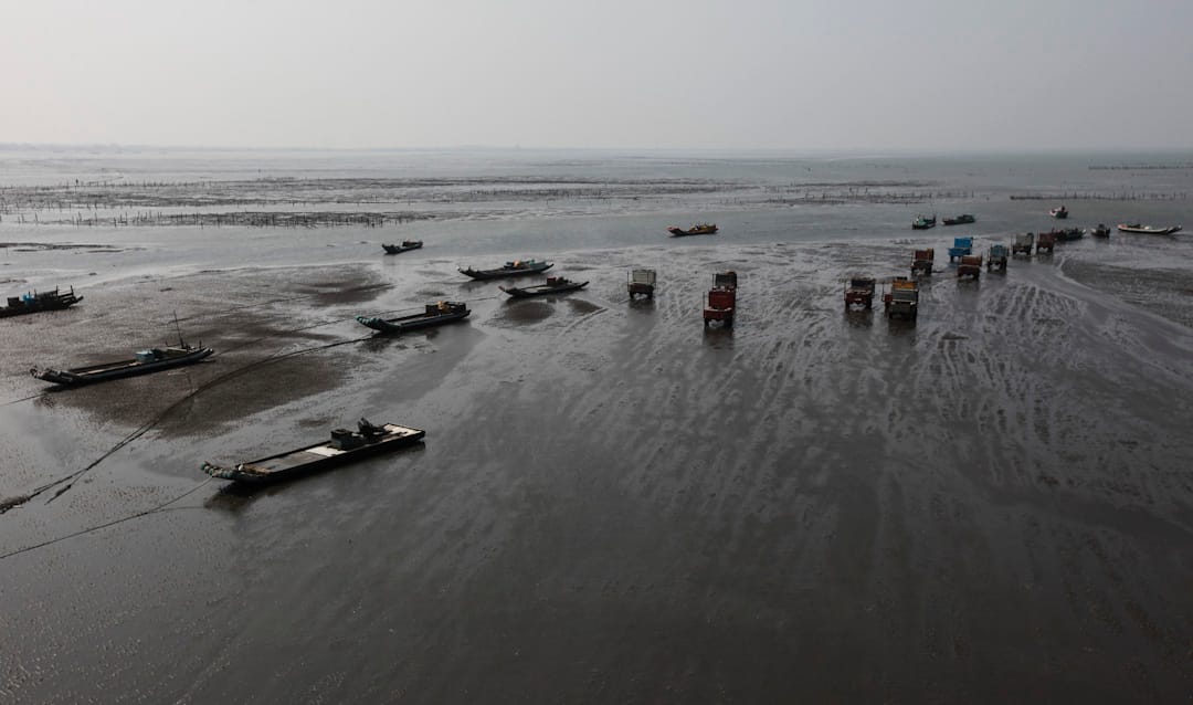 2011年3月,彰化芳苑湿地与牡蛎养殖区。