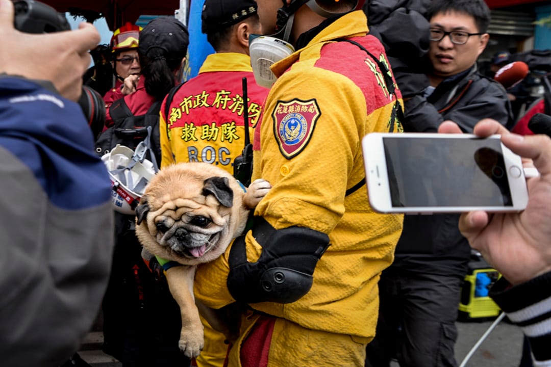 中午十二時,救災人員在雲翠大樓現場拯救了一隻小狗。