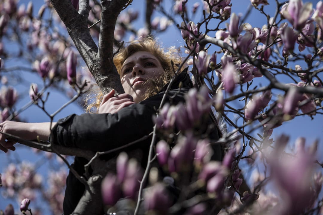 美國首都華盛頓,一名遊行參加者攀到紫玉蘭樹上聽台上的講者發言。