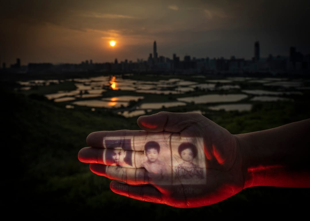 《召喚：沉默的他者》。