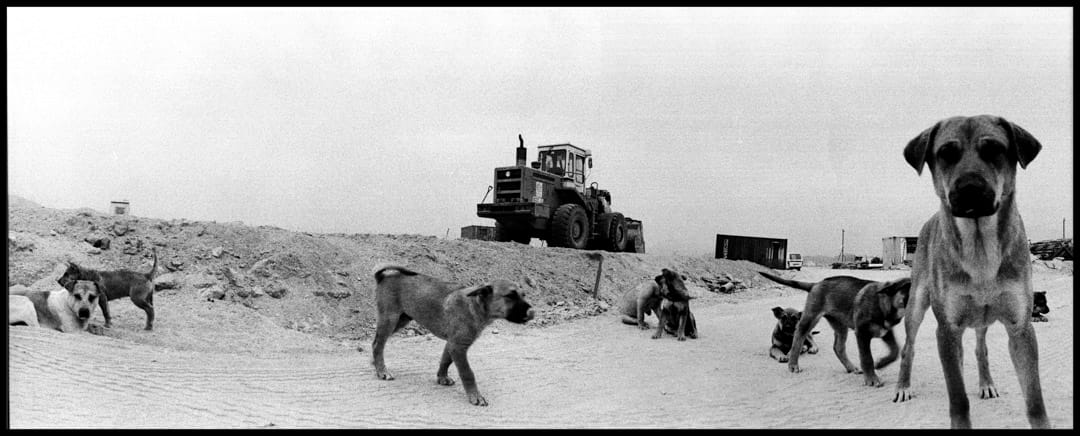 《西九龍填海區》。