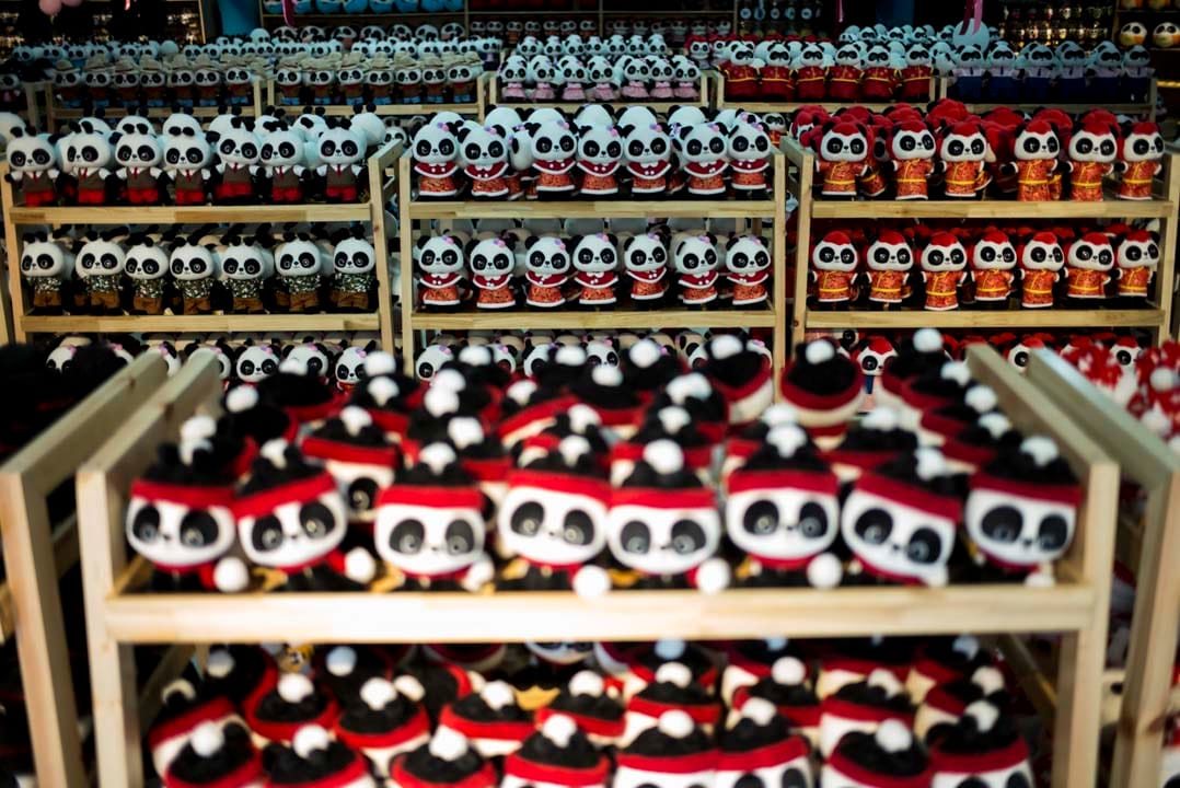 都江堰旅游景区“白果巷”,被称为世界第一个以熊猫为主题的旅游街巷。十年前,新建小学原址便位于“白果巷”,地震中小学粉碎性倒塌,造成至少246位师生遇难,许多遇难学生家长多年维权,要求查清新建小学是否为豆腐渣工程。