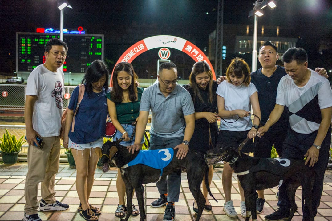 每一場賽事結束後,獲勝的賽狗都會跟狗主合照。