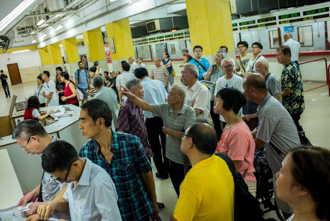 賽狗迷為心儀的狗隻投注,觀看屏幕上的賽事重溫及衝線的播放。