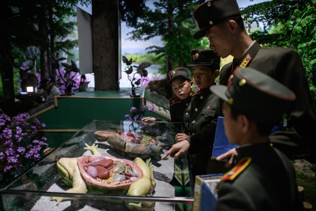 2018年6月14日，万景台革命学院学生在上生物课，老师用模型跟学生讲解青蛙的生理结构。