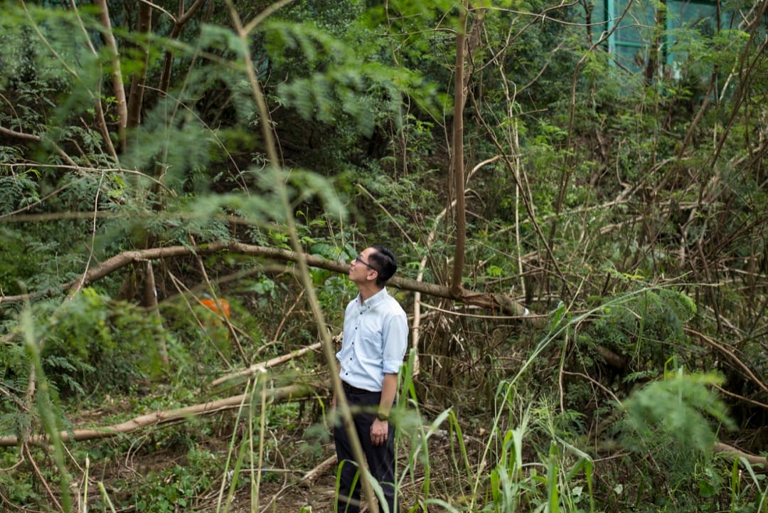 香港浸會大學國際學院樹木管理系講師鄧銘澤。