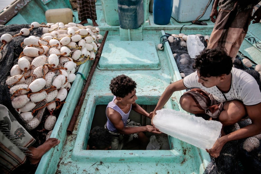 渔民将冰块搬进船里,为保持渔获新鲜。