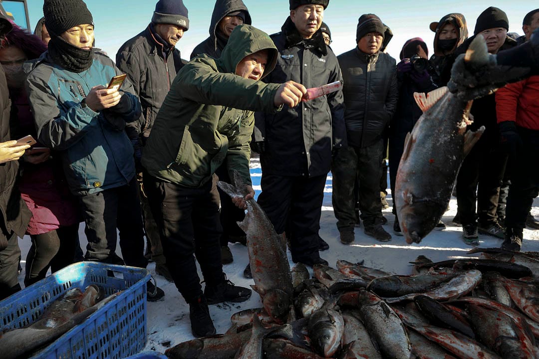眾多市民趕到冬捕現場購買活魚。