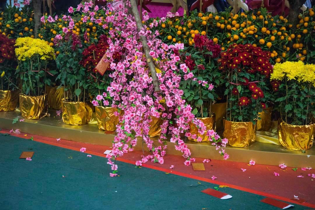 大年初三,馬場上一個桃花陣有一棵倒下的桃花樹。