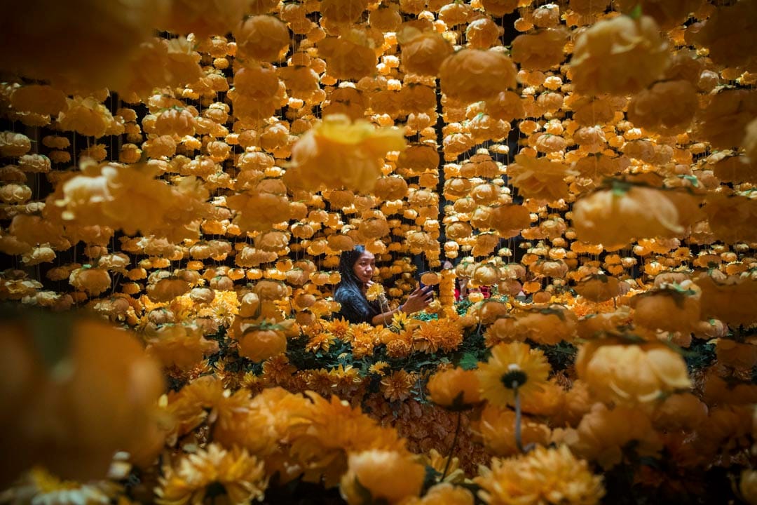 大年初一,市民在銅鑼灣時代廣場的花海𥚃自拍。