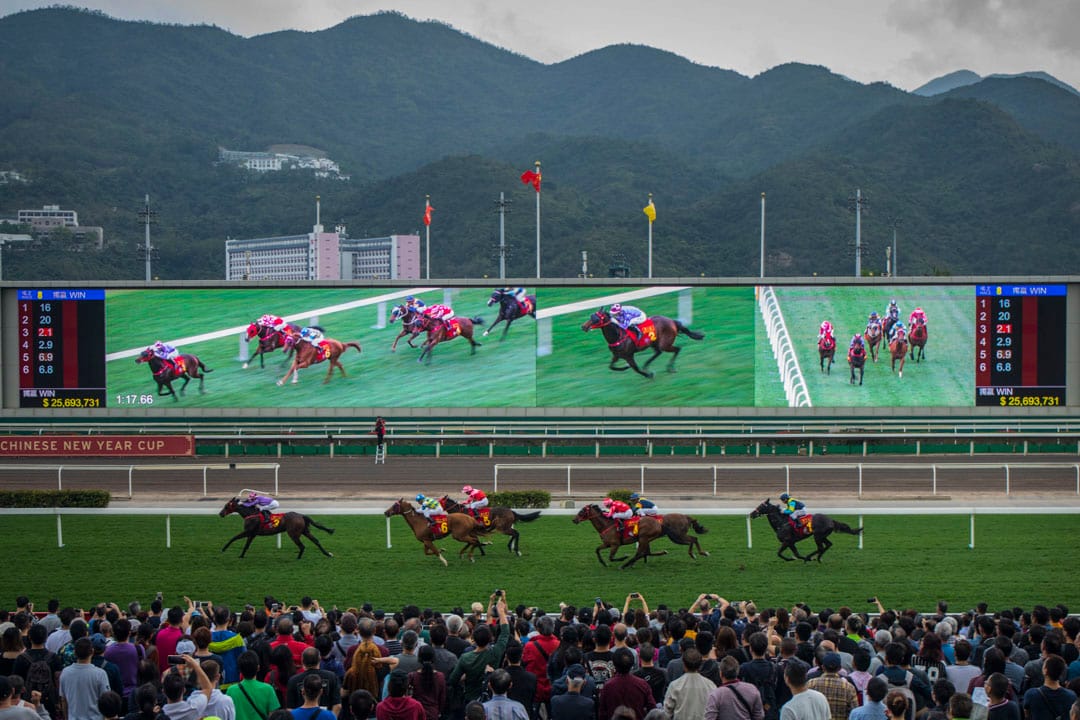 大年初三,市民入場觀賞賀歲馬。