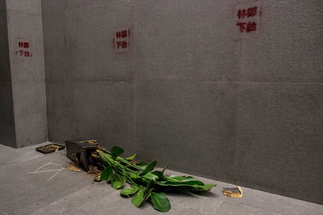 立法會1M樓地上一個盆栽。