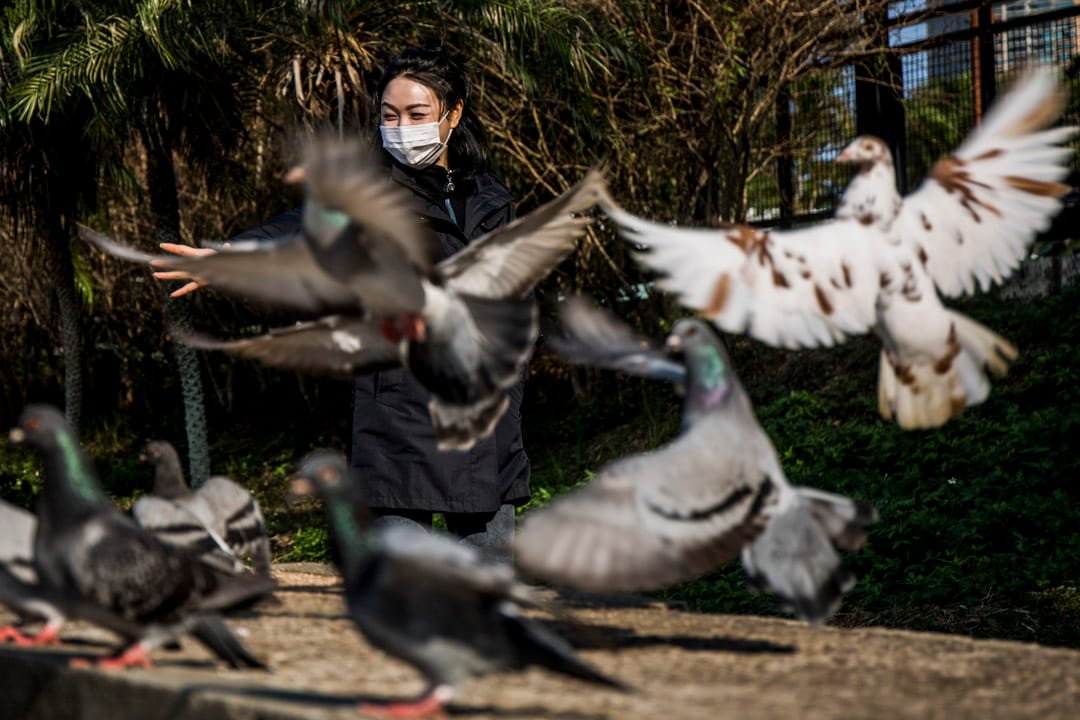 2020年1月28日，疫情爆發初期，自中國衛健委高級別專家組組長鍾南山宣佈新型冠狀病毒可以人傳人後，疫症尤如風暴一般爆發。中國各地開始公佈確診數字，其後接踵而來的封城、醫護受感染、死亡案例，一切都來得如此快。其後香港於1月23日傳出首宗確診個案，市民紛紛都戴上口罩。