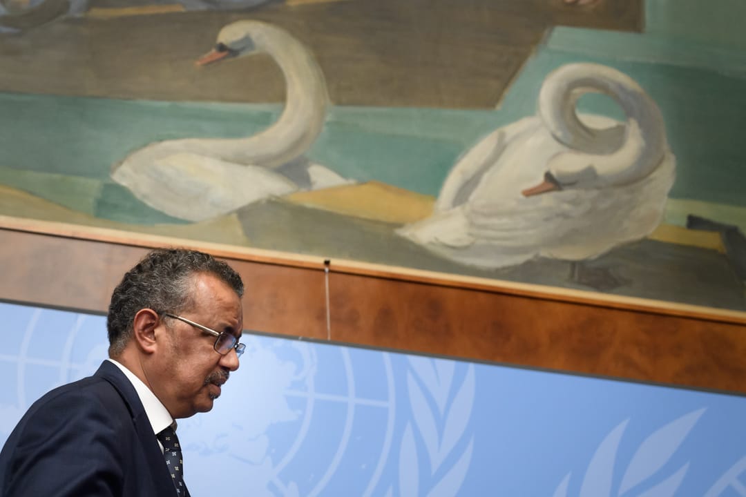 2020年1月29日,世界卫生组织总干事谭德塞就新型管状病毒的疫情召开记者会。