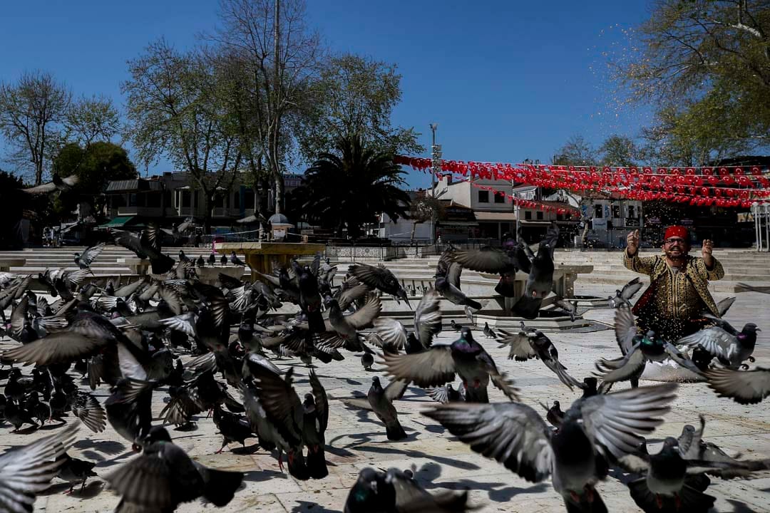 2020年4月24日,土耳其伊斯坦布尔,一名穆斯林在伊普苏丹清真寺(Eyup Sultan Mosque前喂鸽子。