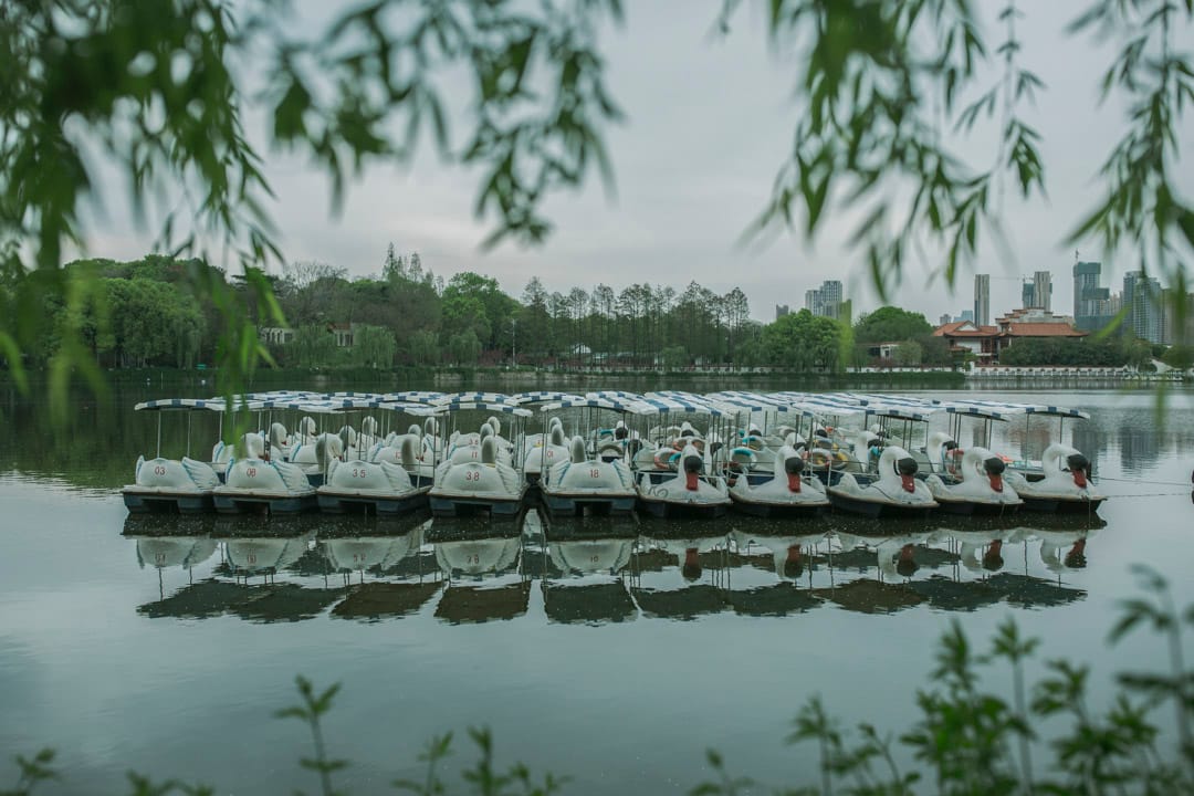 武漢動物園，疫情期間暫停開放，遊船停在湖心。 