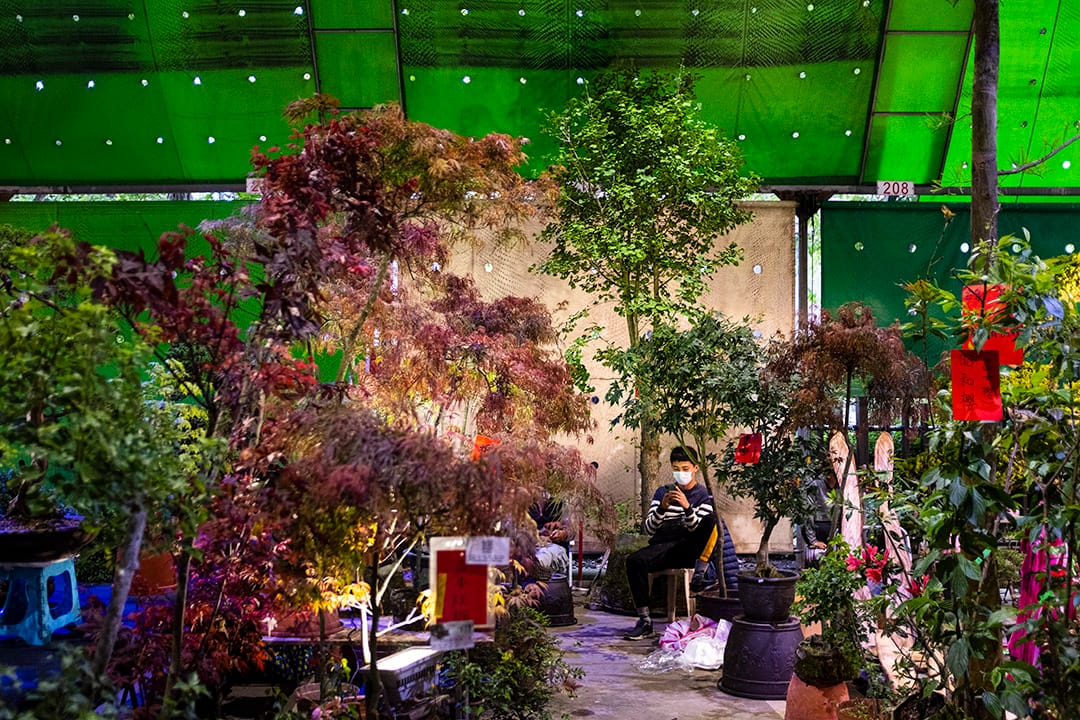 2020年4月16日，台北市建國假日花市的一名年輕人在看手機。