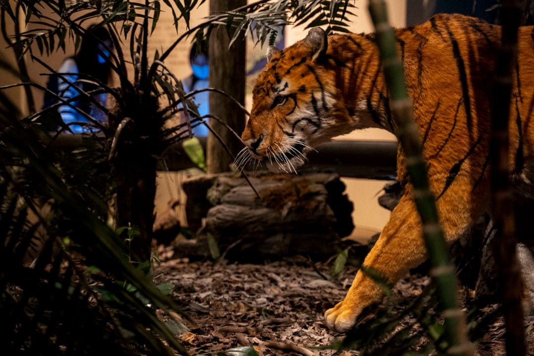 自然生態環境。