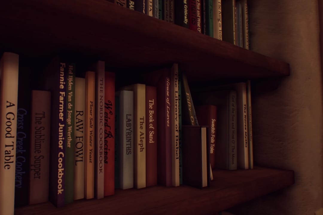 遊戲中的書架。