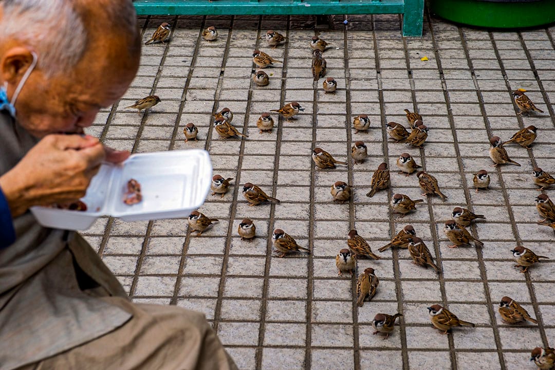 2021年1月22日油麻地，市民在公園內吃飯。