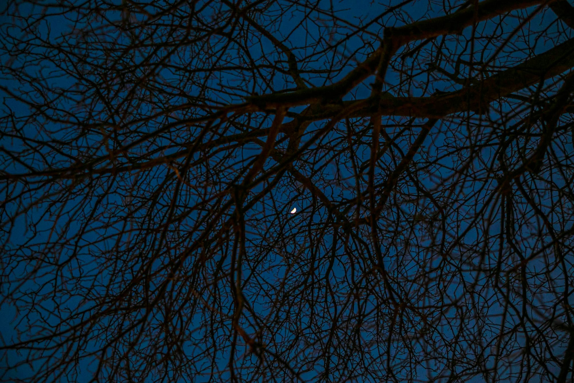 香港夜空上的一輪月亮。