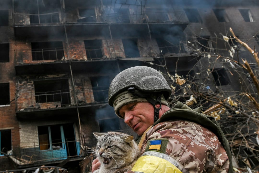 2022年3月1日,乌克兰首都基辅南部城镇瓦西里基夫(Vasylkiv),一名士兵在一座被炮击炸毁的住宅前抱起一直流浪猫。