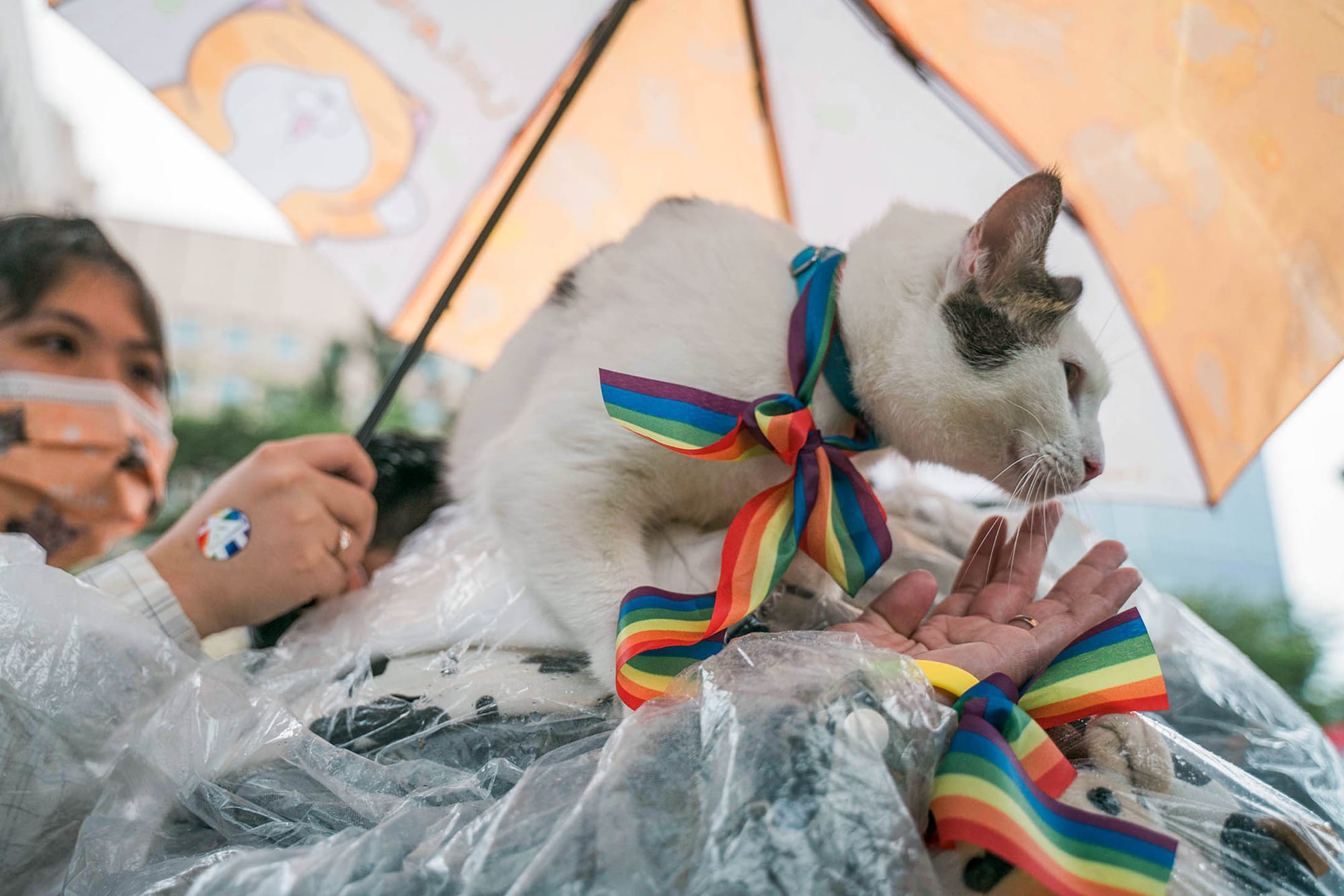 2022年10月29日，台北，第二十届台湾同志游行。