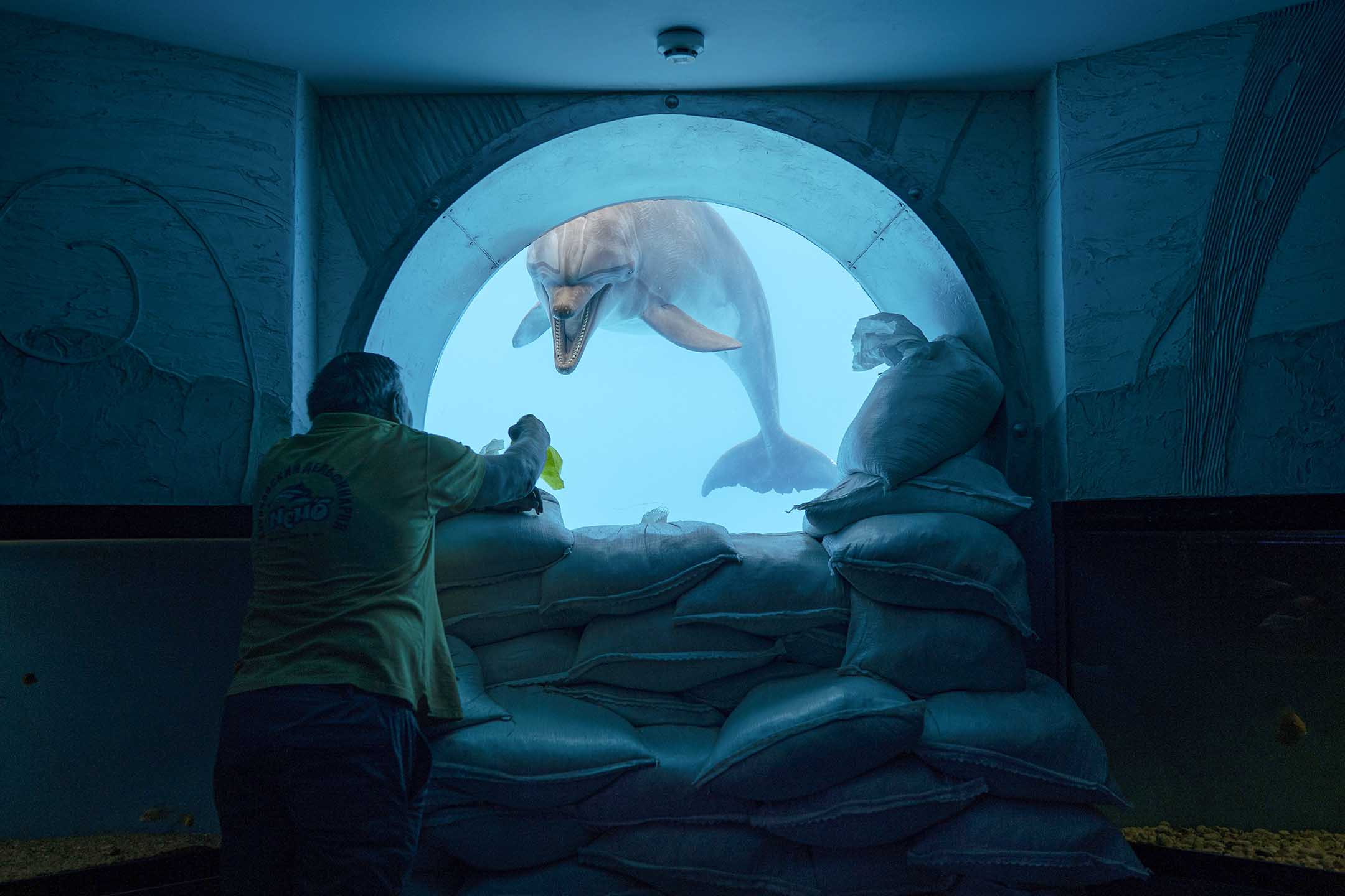 2022年9月21日，乌克兰哈尔科夫的海豚馆，工作人员透过用沙袋加固的水底观景窗，与名叫宙斯的海豚玩耍。