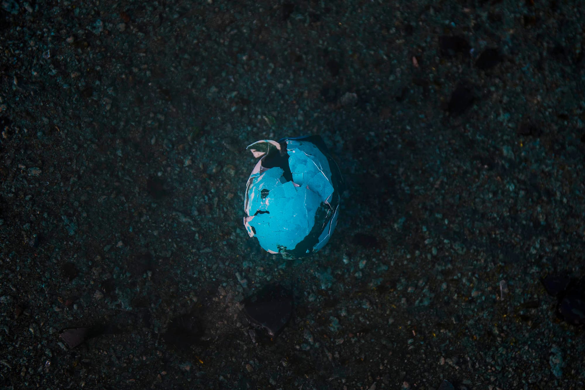 2019年11月17日香港 ，示威者佔領 香港理工大學，堵塞了紅磡海底隧道，警方出動水炮車驅散路面的示威者，一隻破爛的雞蛋被水炮車的藍色液體染色。攝：陳焯煇/端傳媒