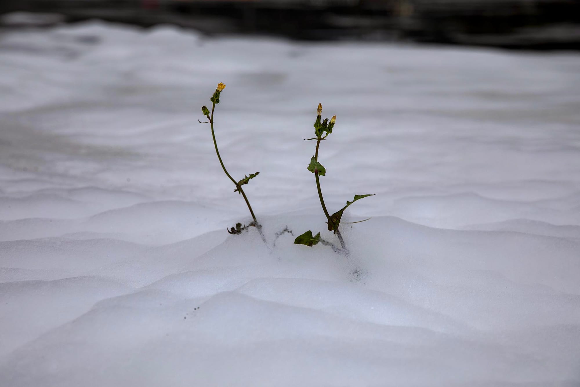 2023年4月20日，马祖，民安9号演习。摄：陈焯𪸩/端传媒