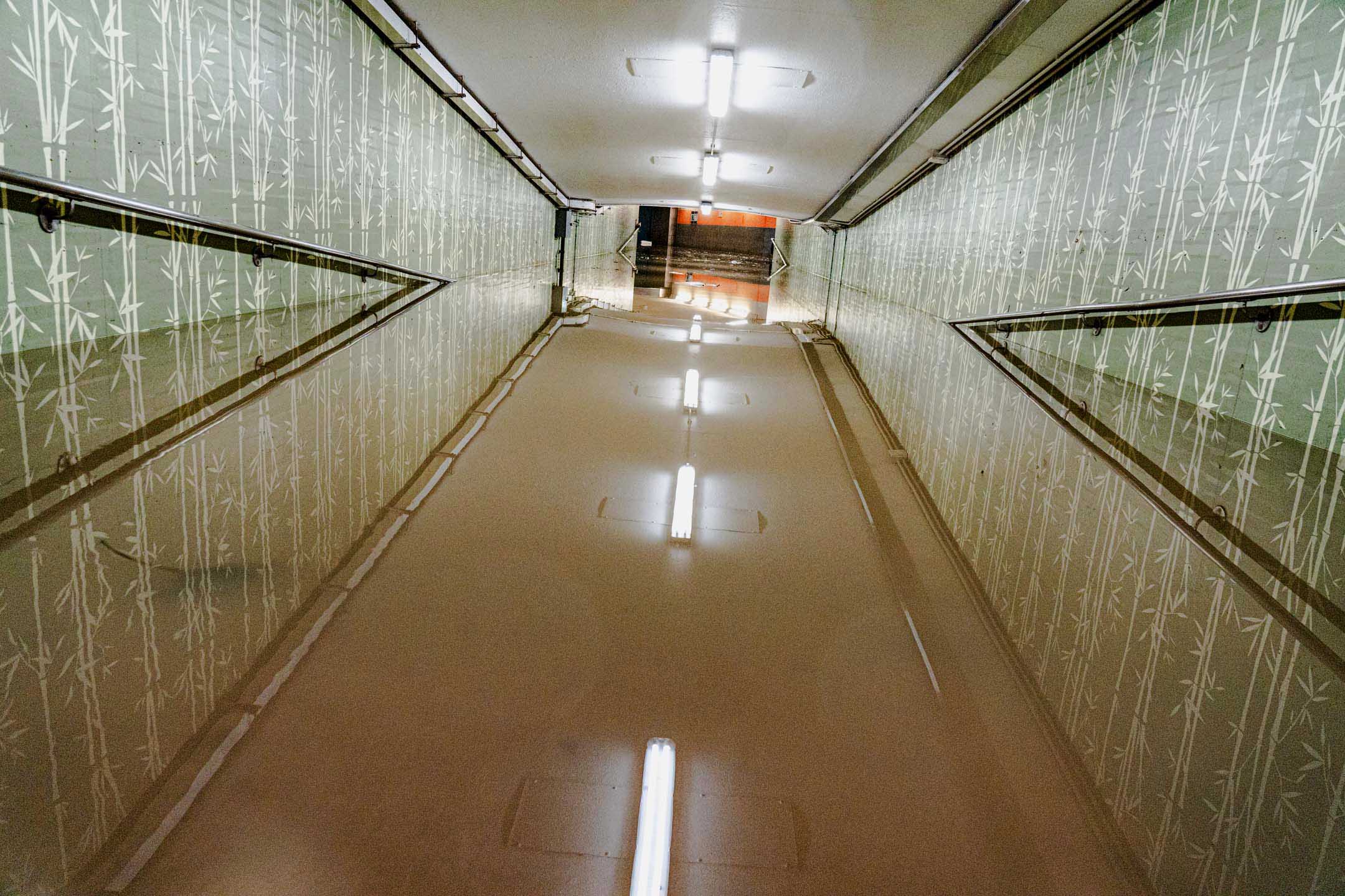 2023年9月8日,香港,自有纪录以来最大的暴雨令多区水浸。摄:Ryan Lai/端传媒