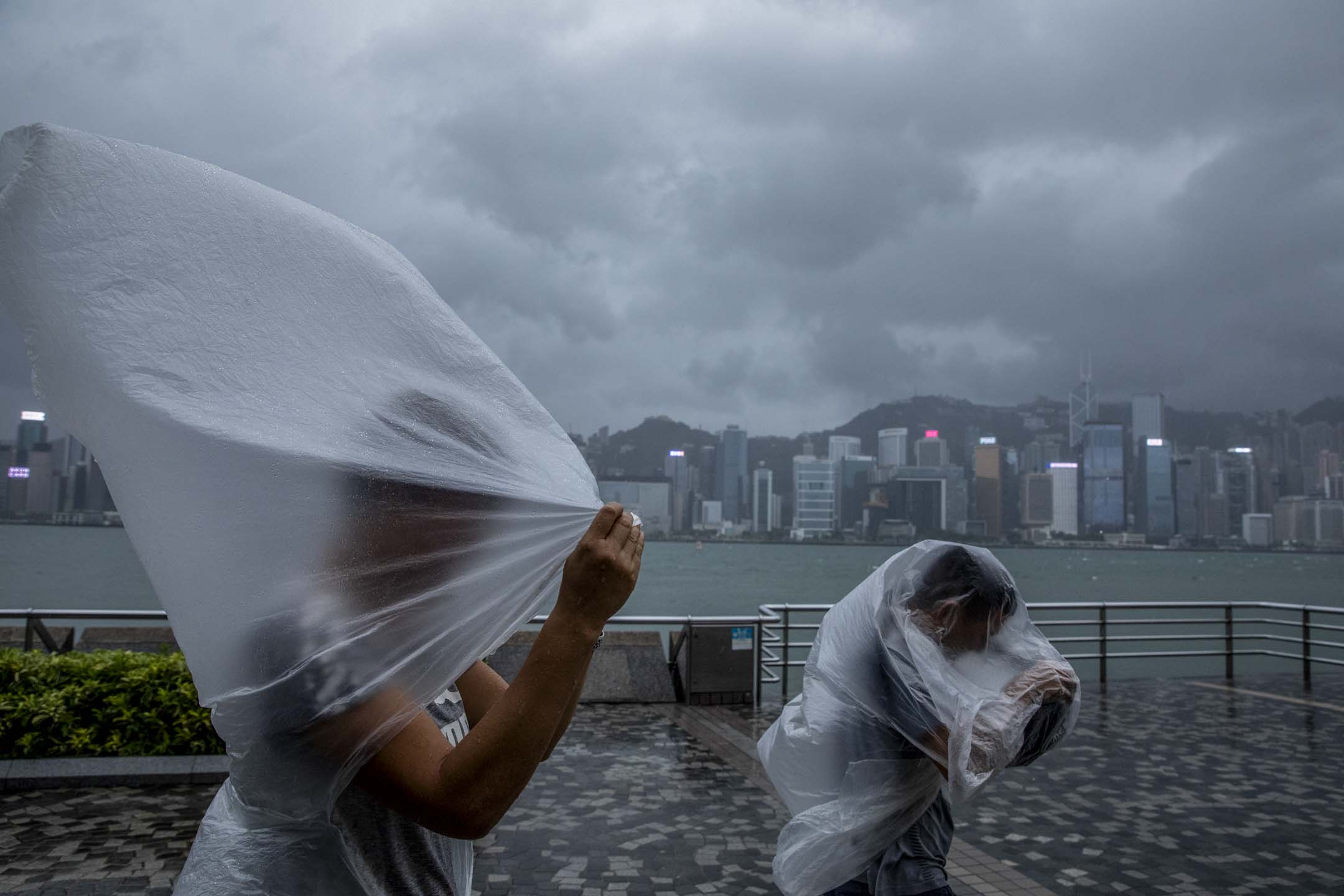 2023年9月1日，超強颱風蘇拉逐步靠近香港，尖沙咀的市民在8號風球下逆風而行。攝：林振東/端傳媒