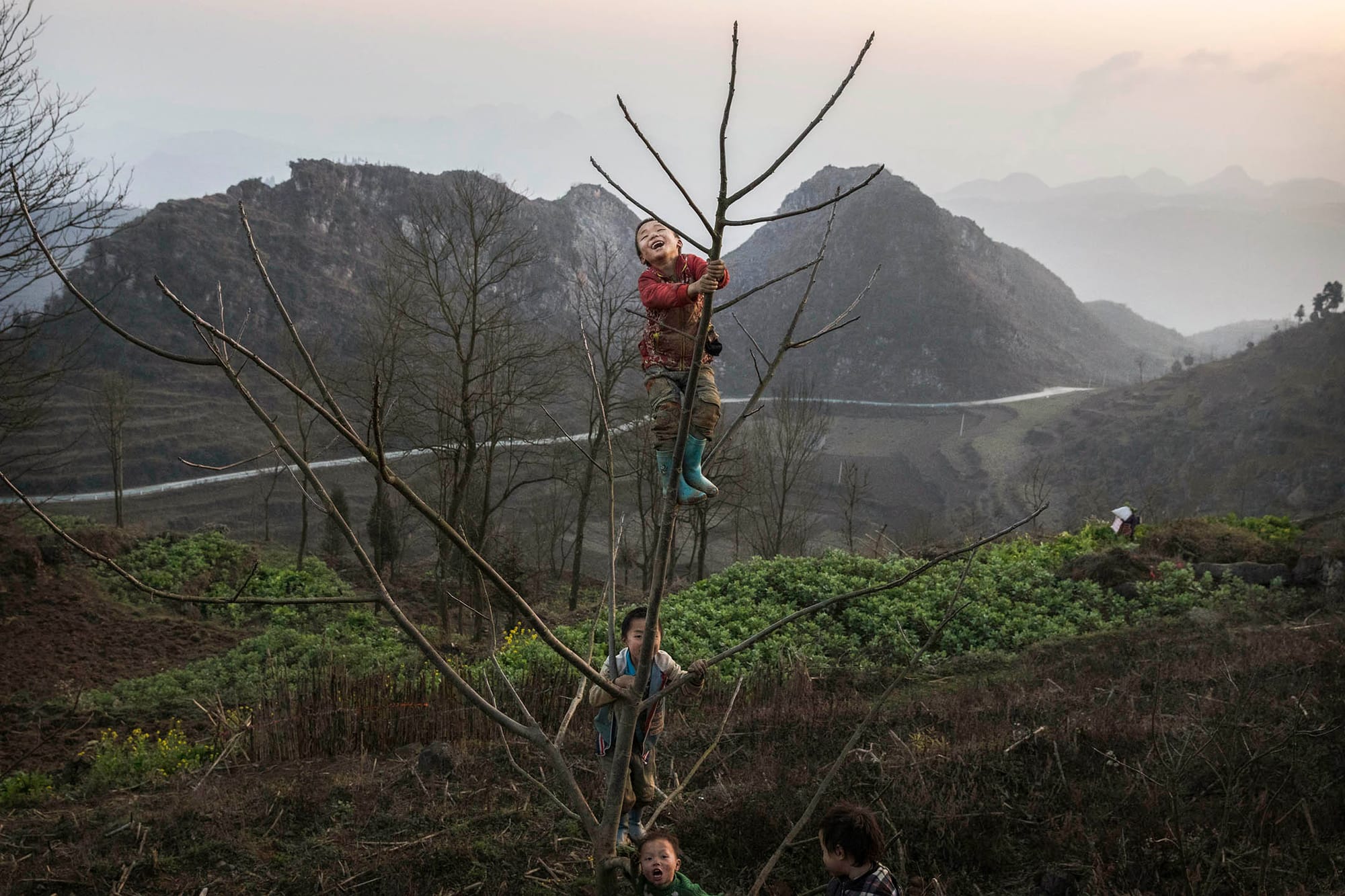 2017年2月5日，貴州，苗族男孩爬上一棵樹。攝：Kevin Frayer/Getty Images