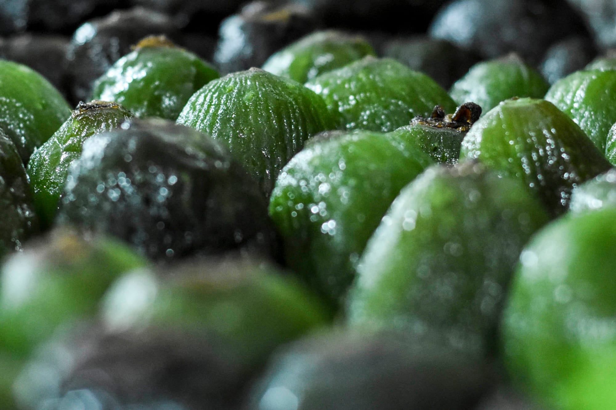 墨西哥城常見的chayote，即是福建的佛手瓜。攝：Carlos Tischler/SOPA Images/LightRocket via Getty Images