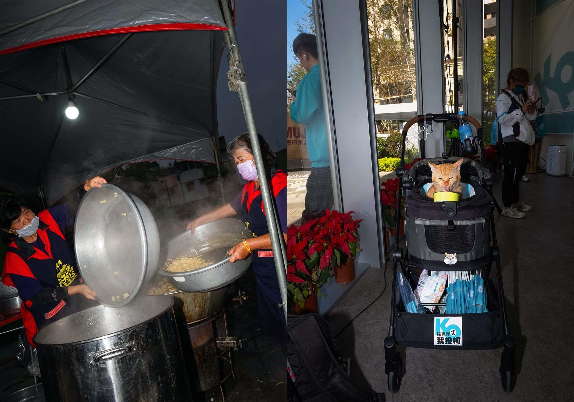 民進黨的造勢活動(左),民眾黨支持者的貓(右)。攝:陳焯煇/端傳媒