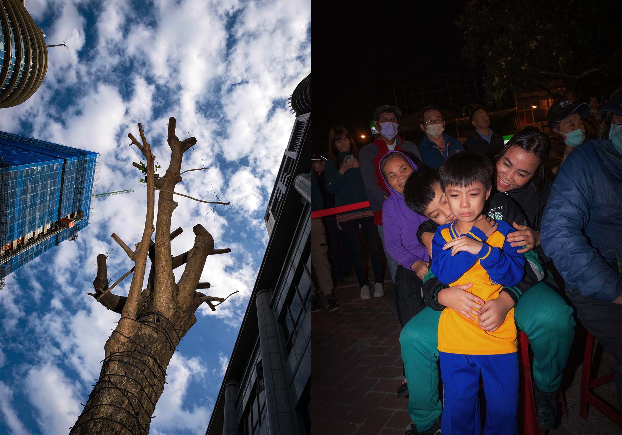 民眾黨黨部外的樹(左),民進黨的支持者(右)。攝:陳焯煇/端傳媒