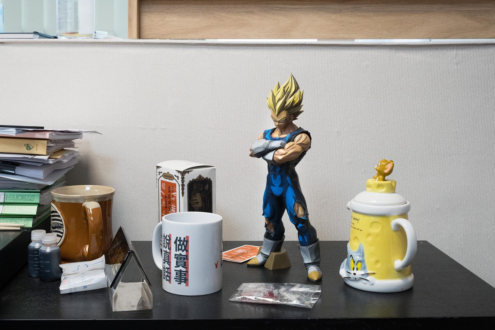 2024年1月30日,苗博雅的议员办公室内的达尔。摄:唐佐欣/端传媒