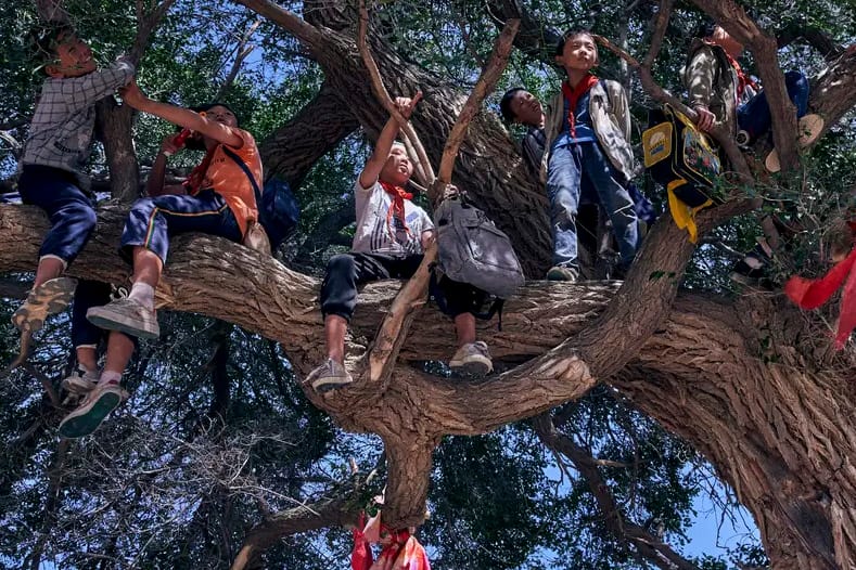 《沃土》劇照。