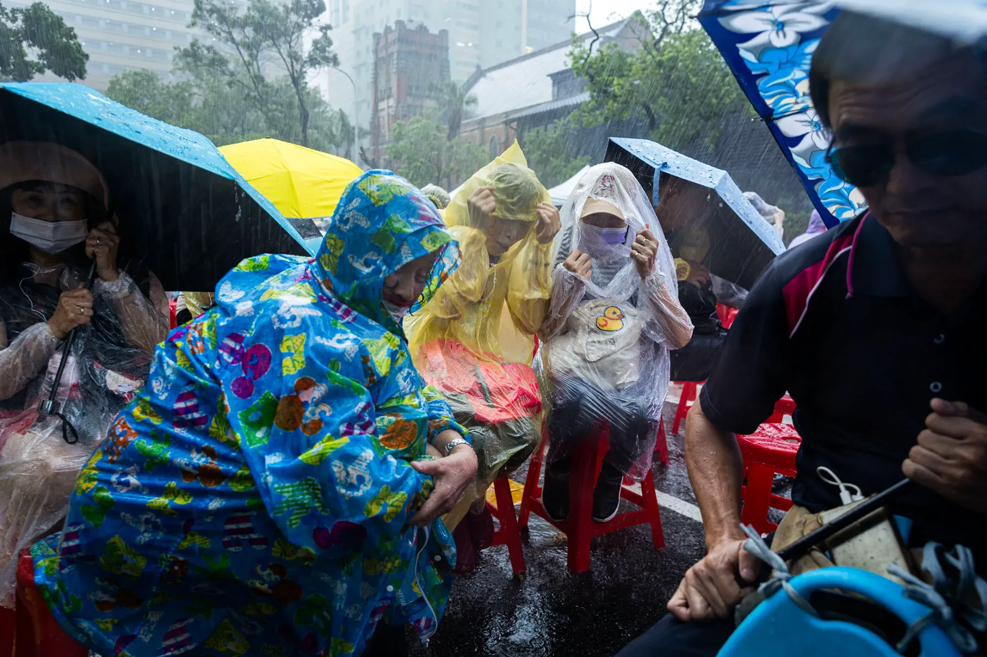 2024年6月21日，台北，公民团体发起“青鸟行动”，号召支持者到立法院外声援。摄：陈焯煇/端传媒