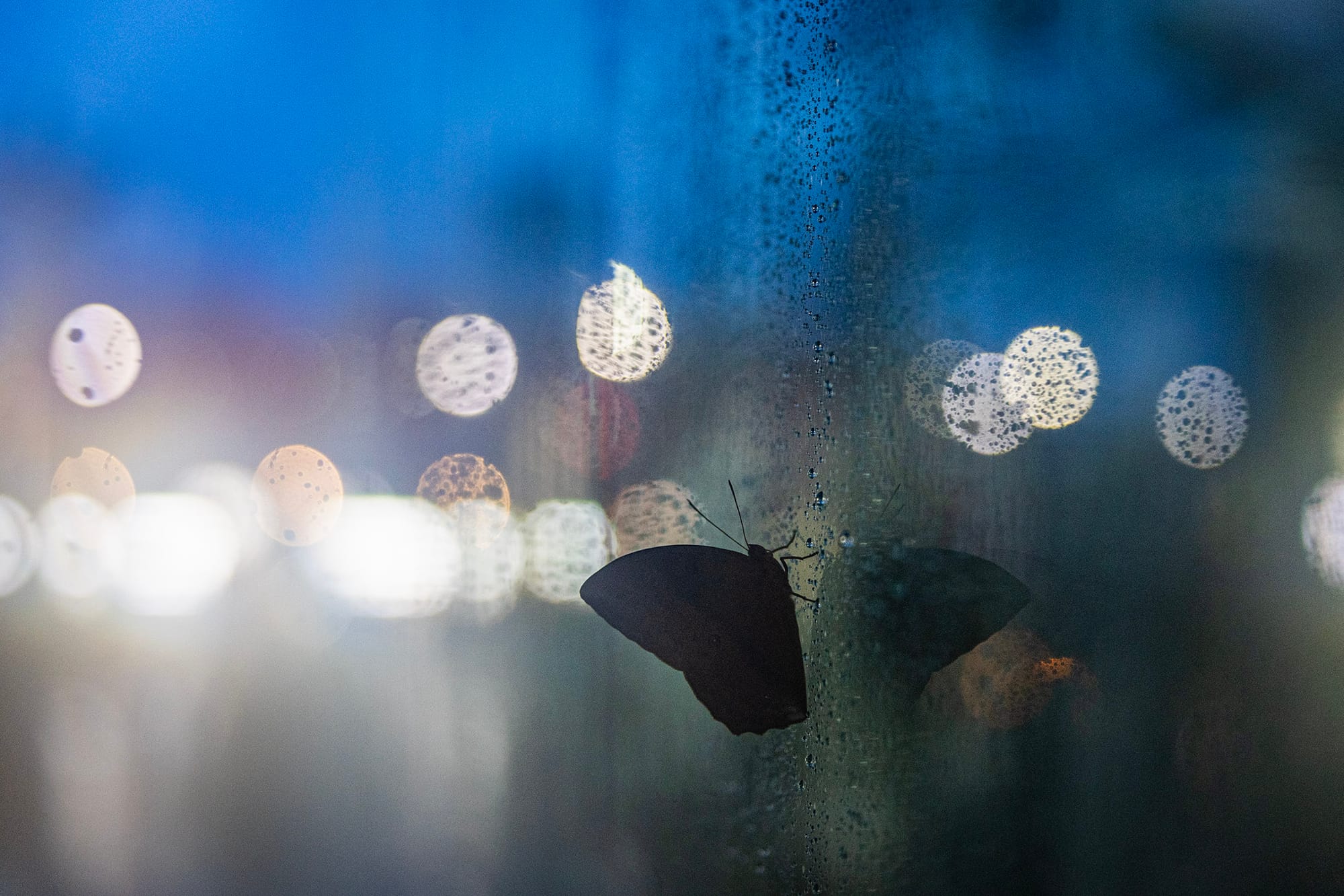 2024年7月24日，淡水。攝：陳焯煇/端傳媒