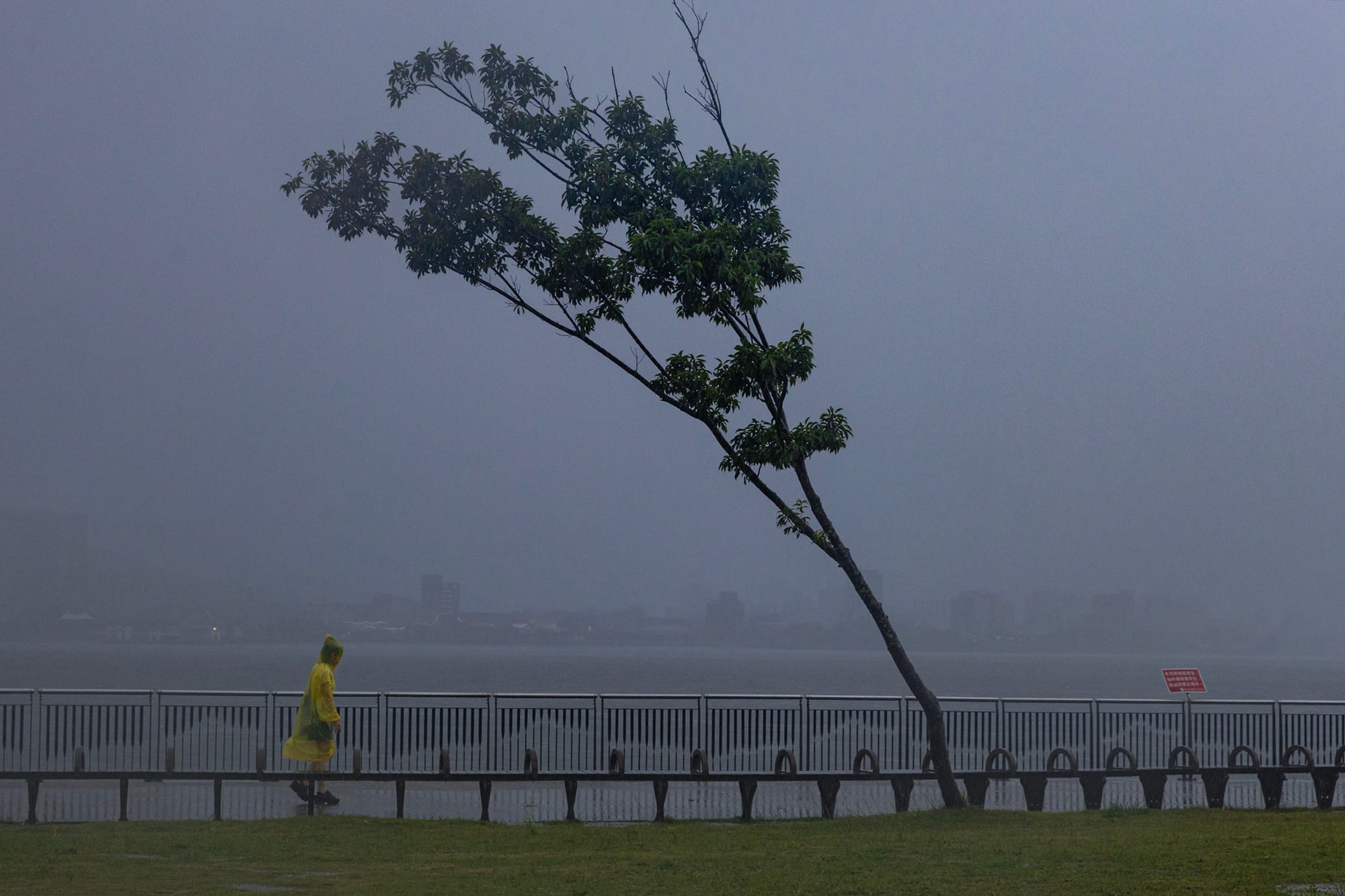 2024年7月24日，淡水。攝：陳焯煇/端傳媒
