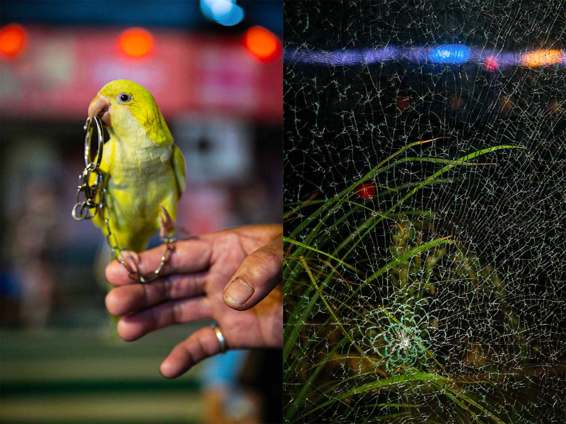 (左) 2024年8月17日,鸡笼中元祭游行,有市民带同小鸟观赏。(右) 2024年8月17日,八斗子望海巷。摄:陈焯煇/端传媒